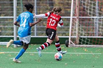 Bild 222 - wBJ VfL Pinneberg - Altona 93 : Ergebnis: 8:0